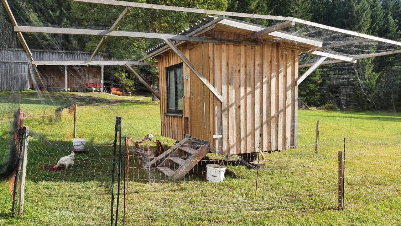 Ferienhaus Buxbaum Arbesbach Ngoại thất bức ảnh