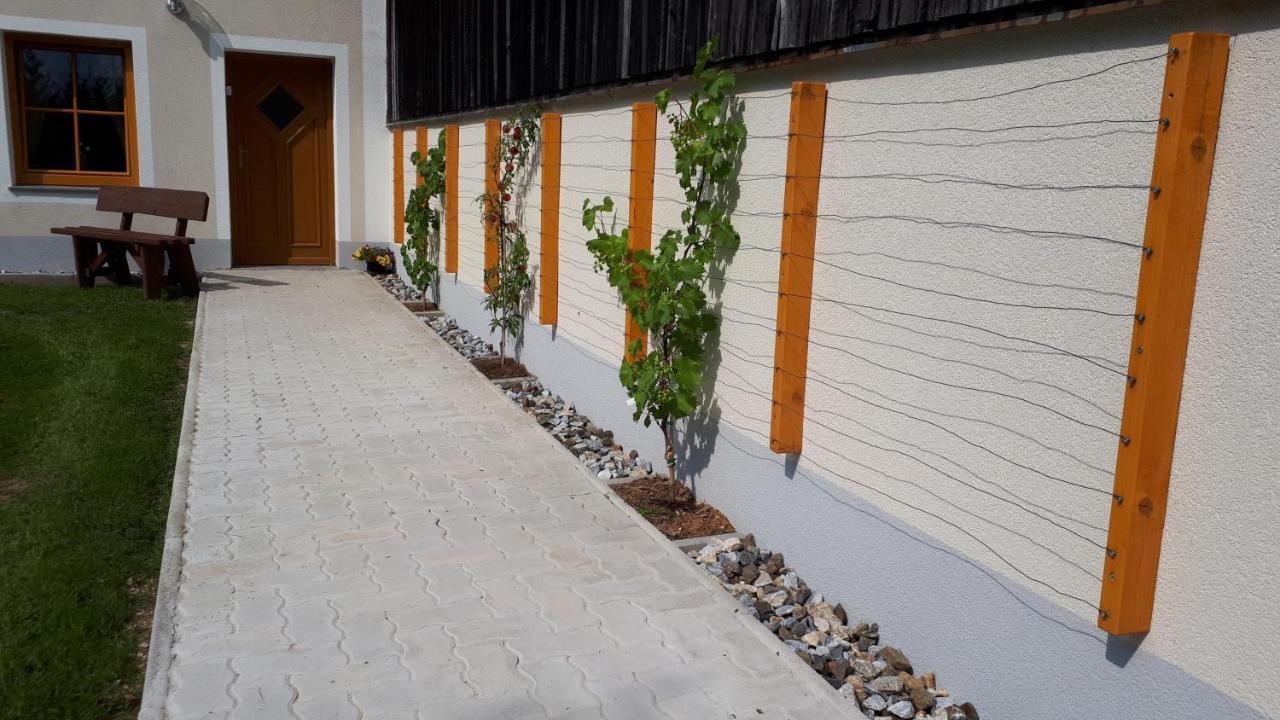 Ferienhaus Buxbaum Arbesbach Ngoại thất bức ảnh